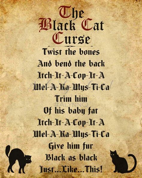 Black cat curwe hocus pobiys